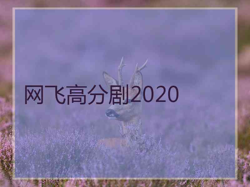 网飞高分剧2020