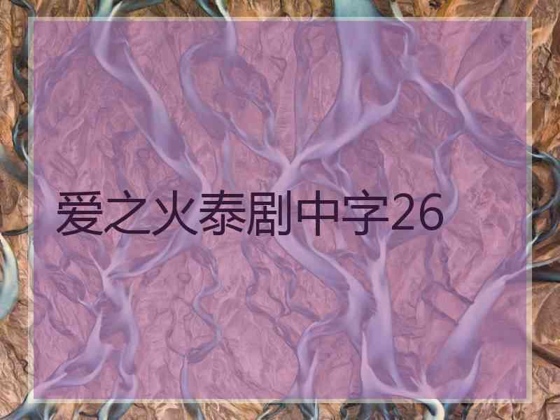 爱之火泰剧中字26