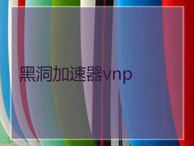 黑洞加速器vnp