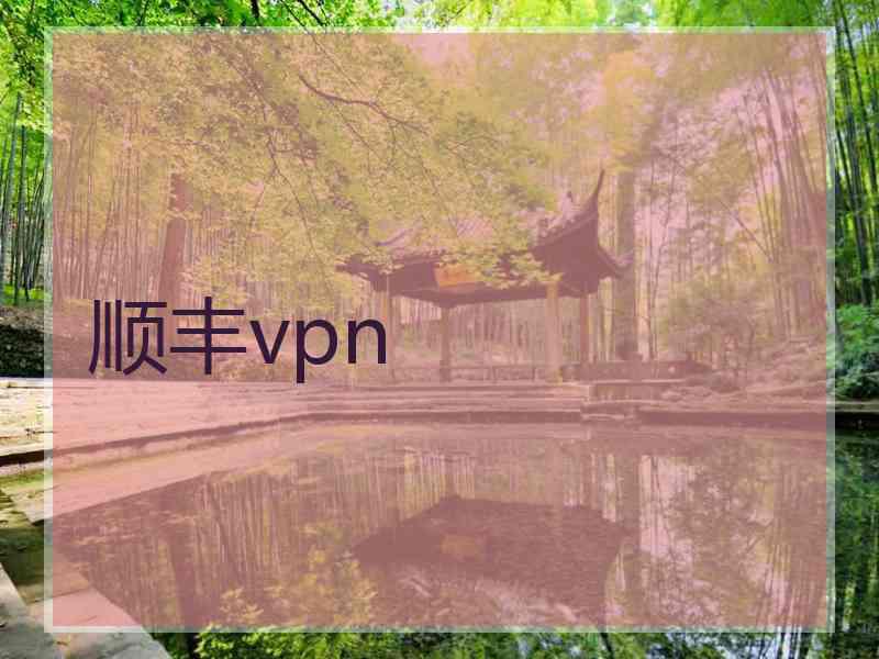 顺丰vpn