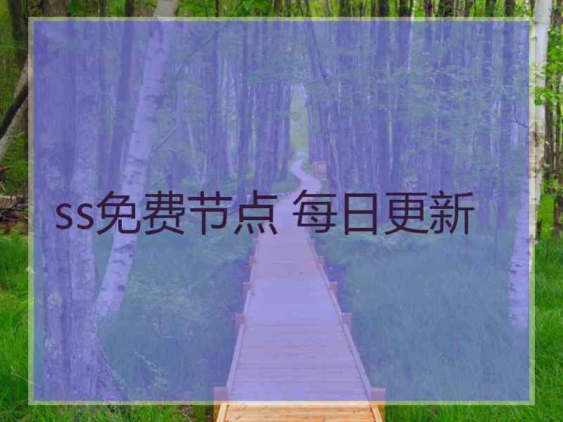 ss免费节点 每日更新