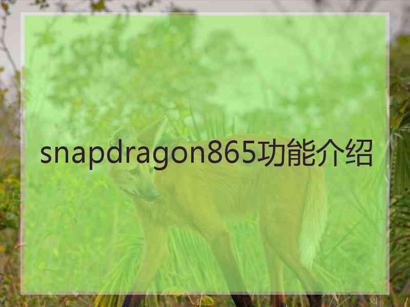 snapdragon865功能介绍