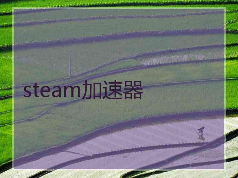 steam加速器