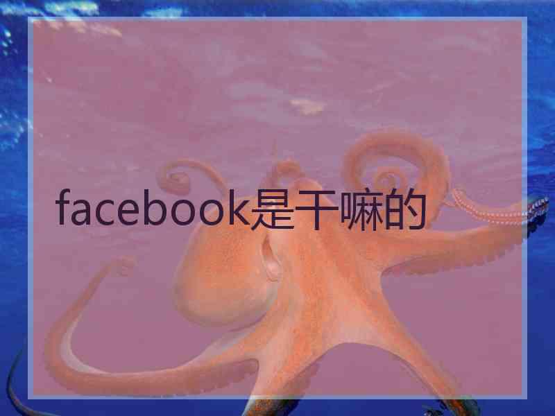 facebook是干嘛的