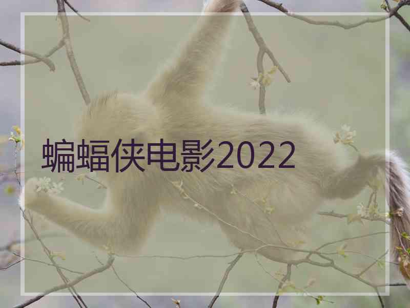 蝙蝠侠电影2022