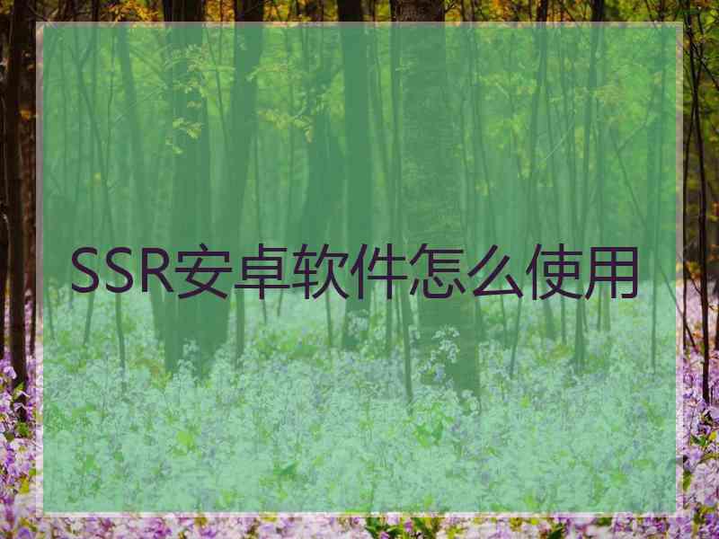 SSR安卓软件怎么使用