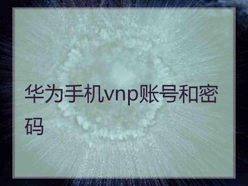 华为手机vnp账号和密码