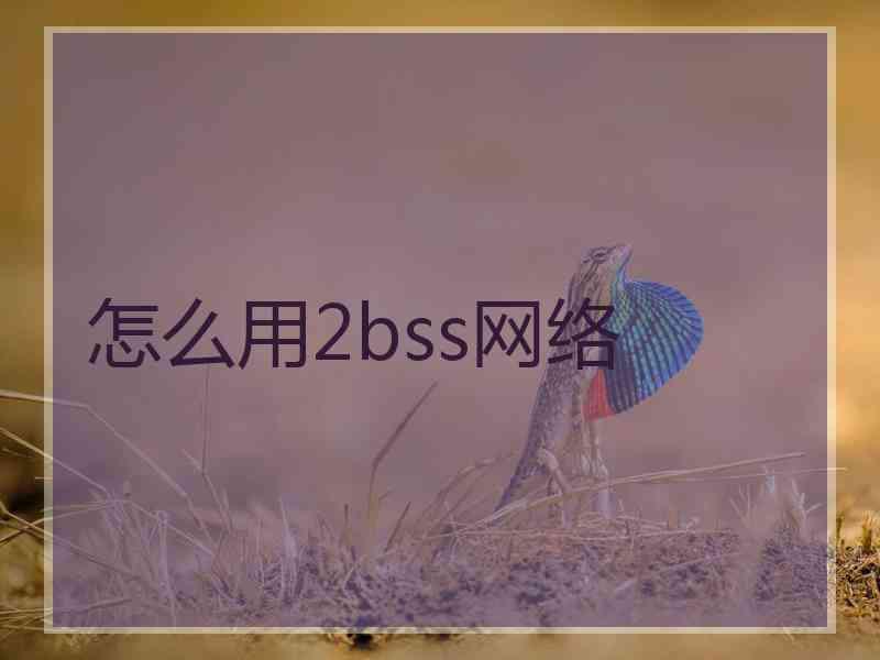 怎么用2bss网络