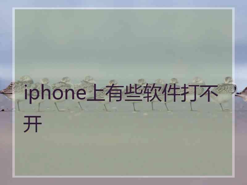 iphone上有些软件打不开