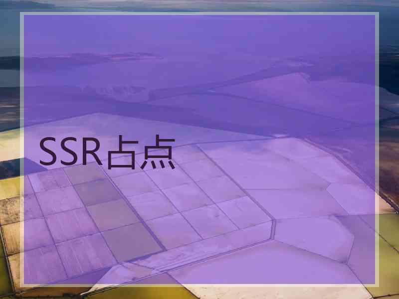 SSR占点