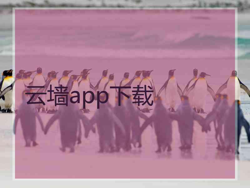 云墙app下载