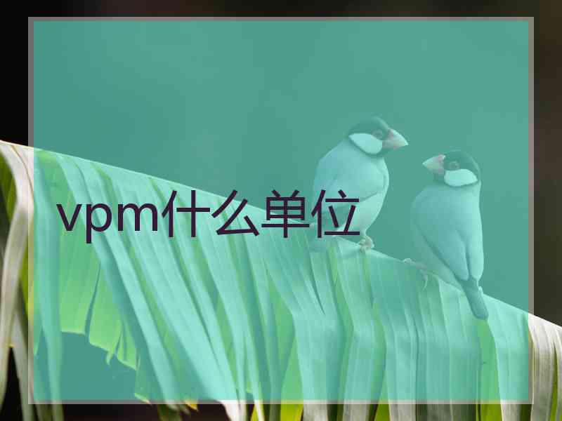 vpm什么单位