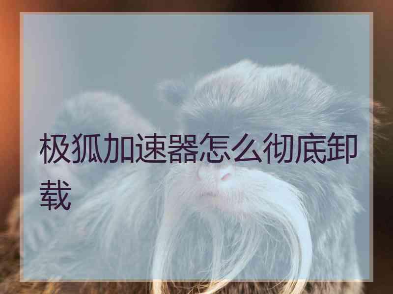 极狐加速器怎么彻底卸载