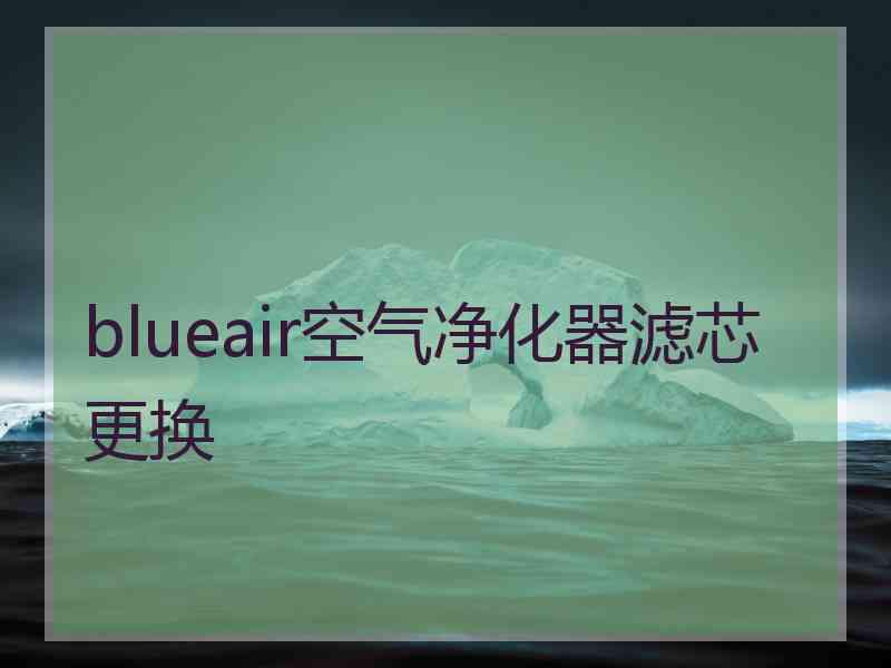 blueair空气净化器滤芯更换