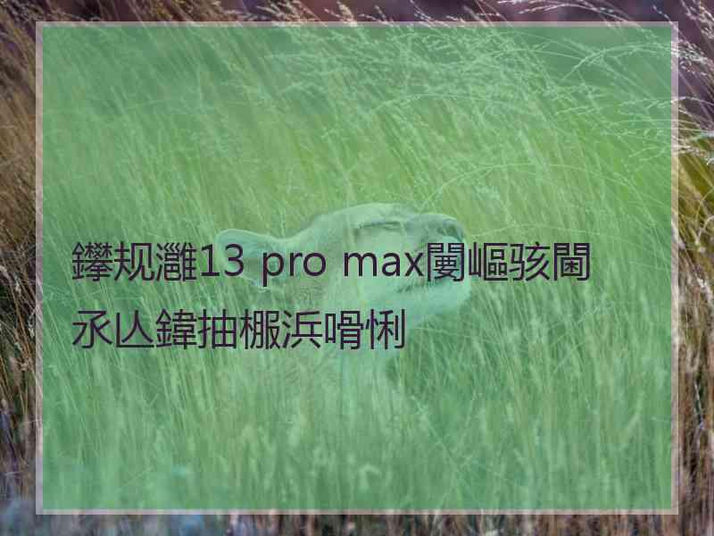 鑻规灉13 pro max闄嶇骇閫氶亾鍏抽棴浜嗗悧