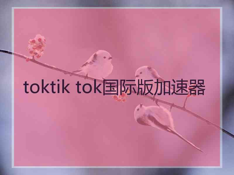 toktik tok国际版加速器