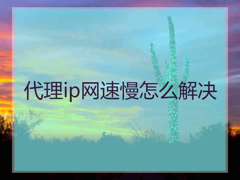 代理ip网速慢怎么解决