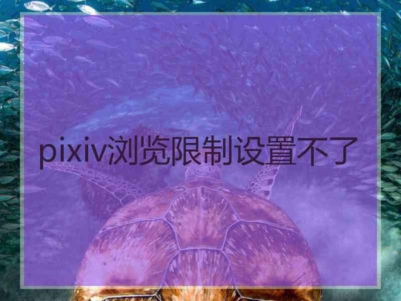 pixiv浏览限制设置不了