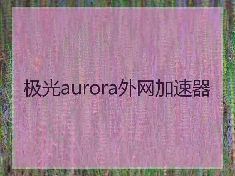 极光aurora外网加速器