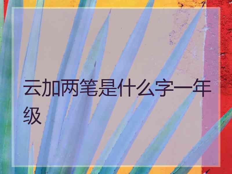 云加两笔是什么字一年级