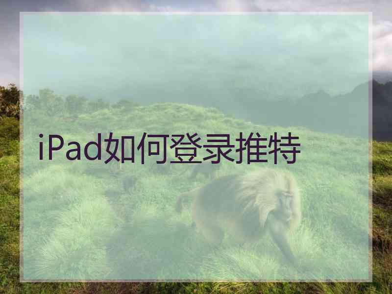 iPad如何登录推特