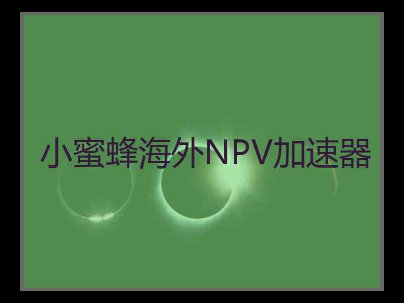 小蜜蜂海外NPV加速器