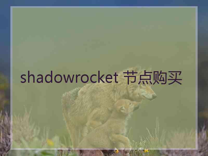 shadowrocket 节点购买