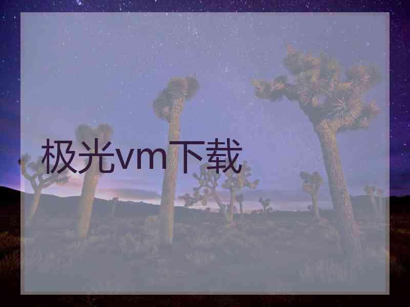 极光vm下载