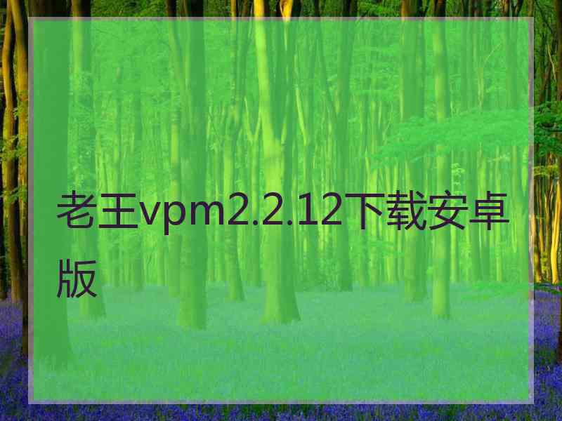 老王vpm2.2.12下载安卓版