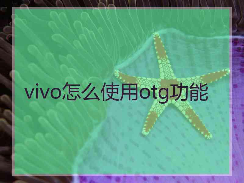 vivo怎么使用otg功能