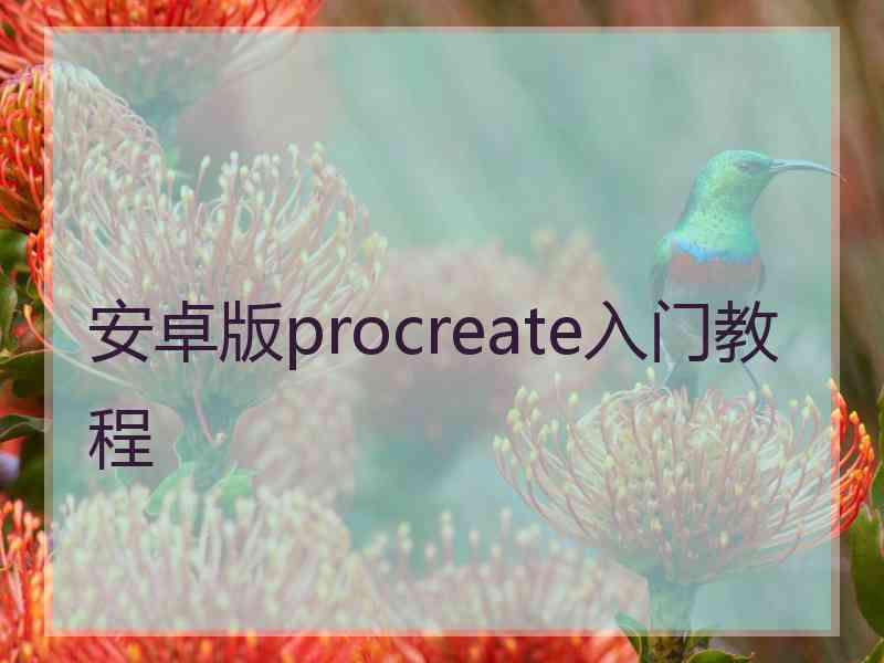 安卓版procreate入门教程