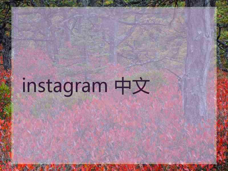 instagram 中文