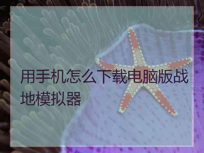 用手机怎么下载电脑版战地模拟器