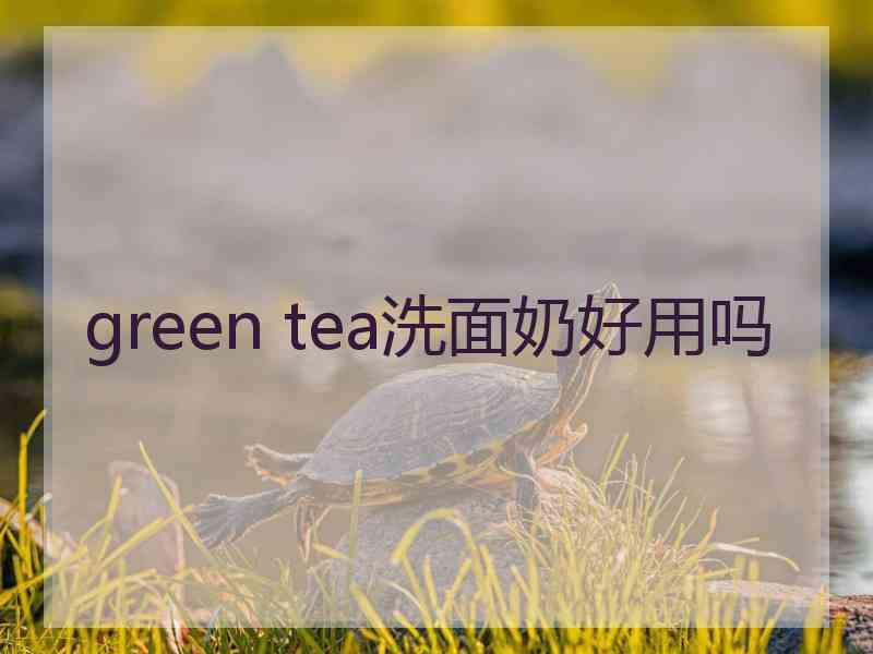 green tea洗面奶好用吗