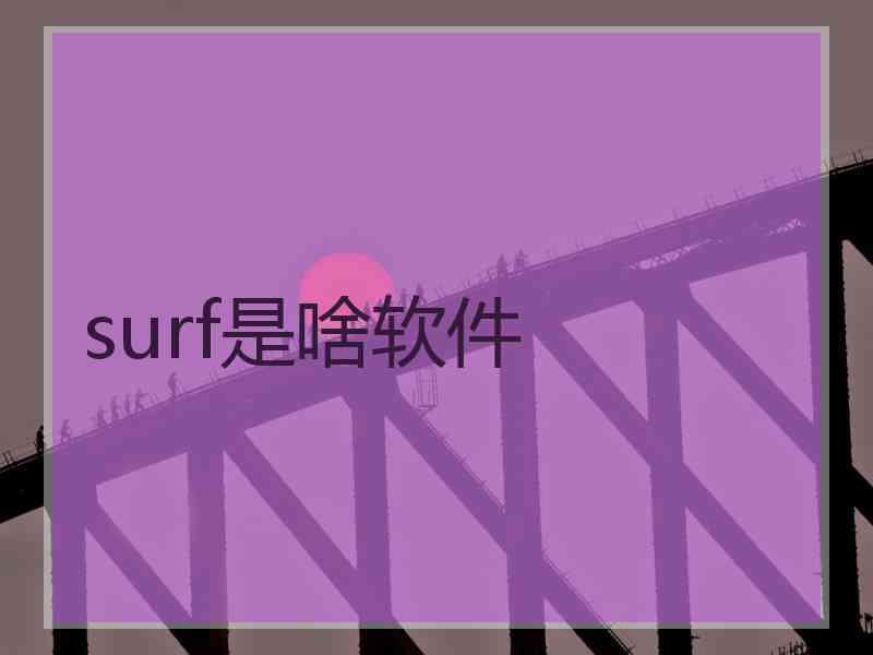 surf是啥软件