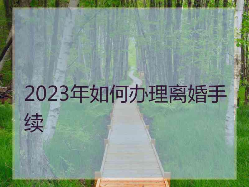 2023年如何办理离婚手续