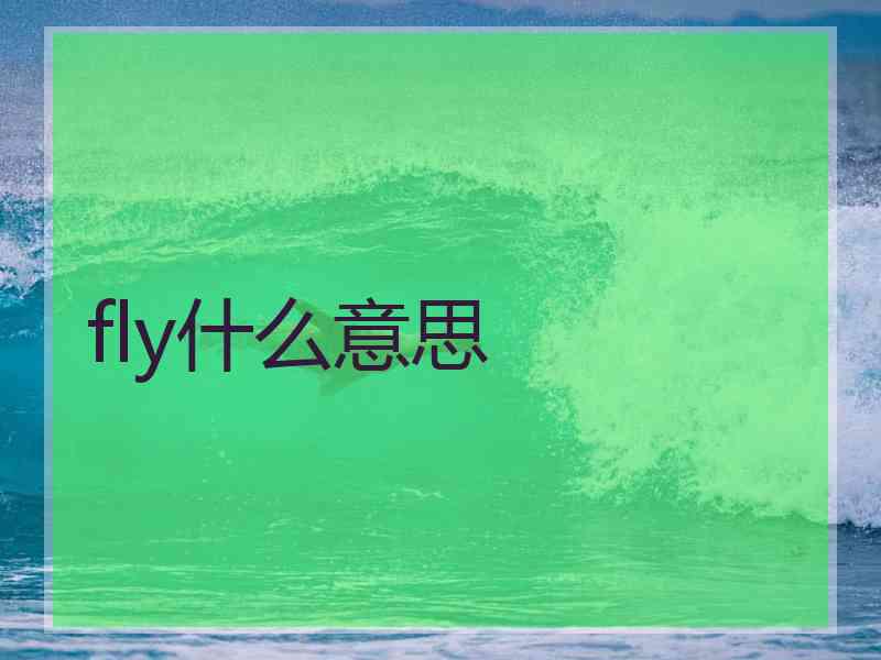 fly什么意思