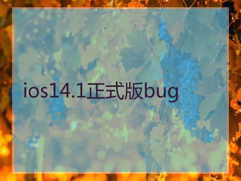 ios14.1正式版bug