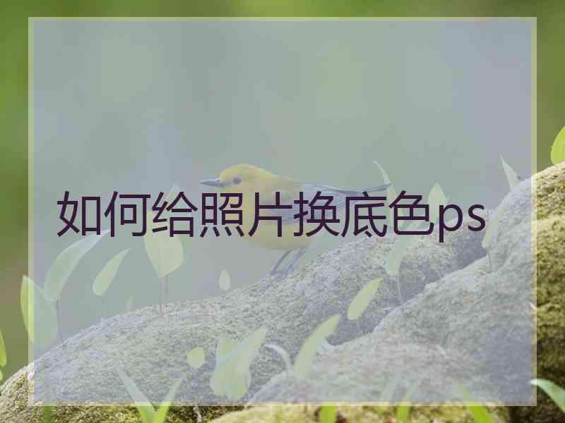 如何给照片换底色ps