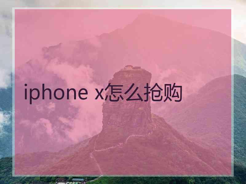 iphone x怎么抢购