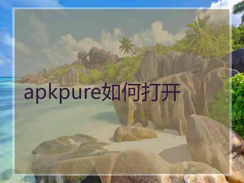 apkpure如何打开