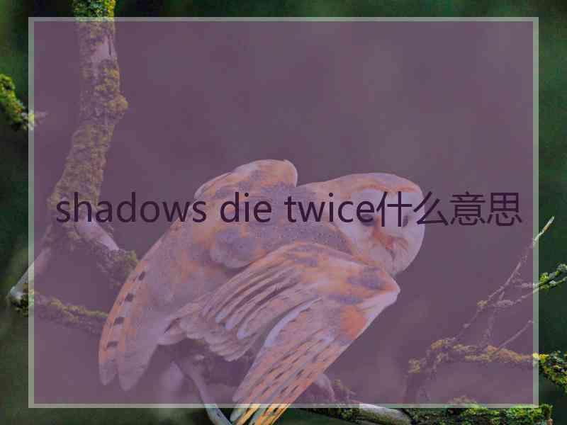 shadows die twice什么意思