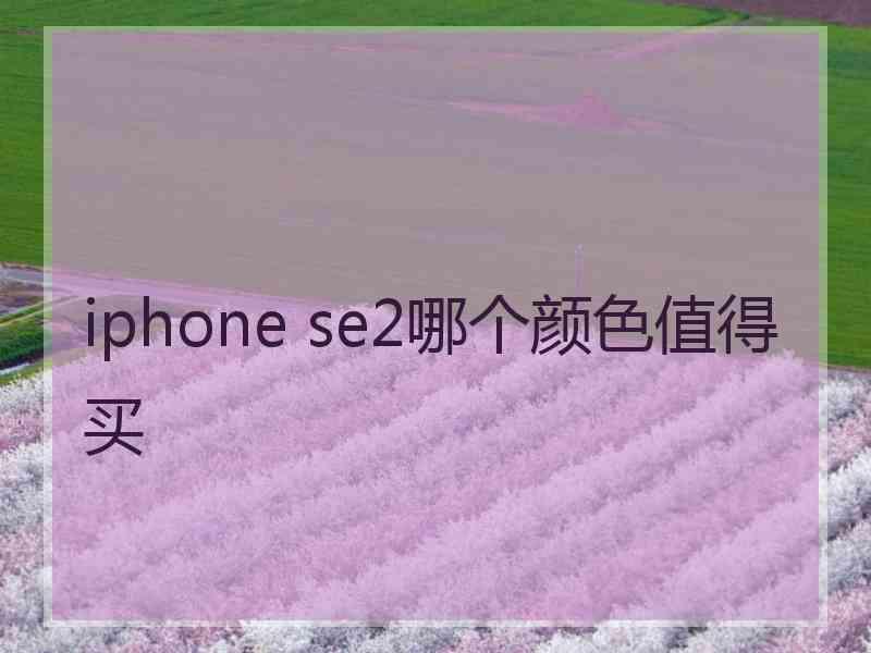 iphone se2哪个颜色值得买