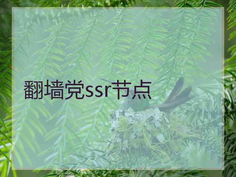 翻墙党ssr节点