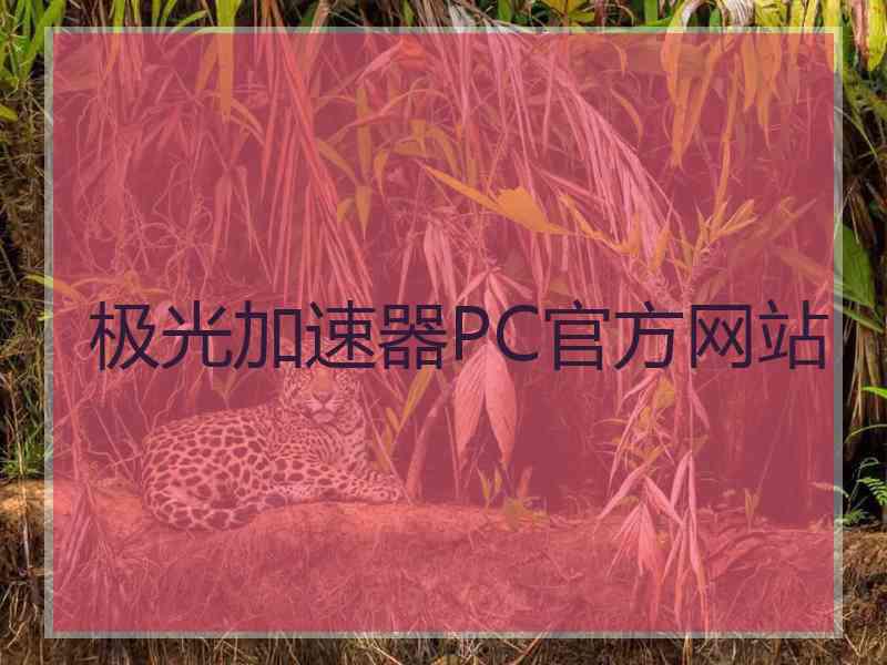 极光加速器PC官方网站