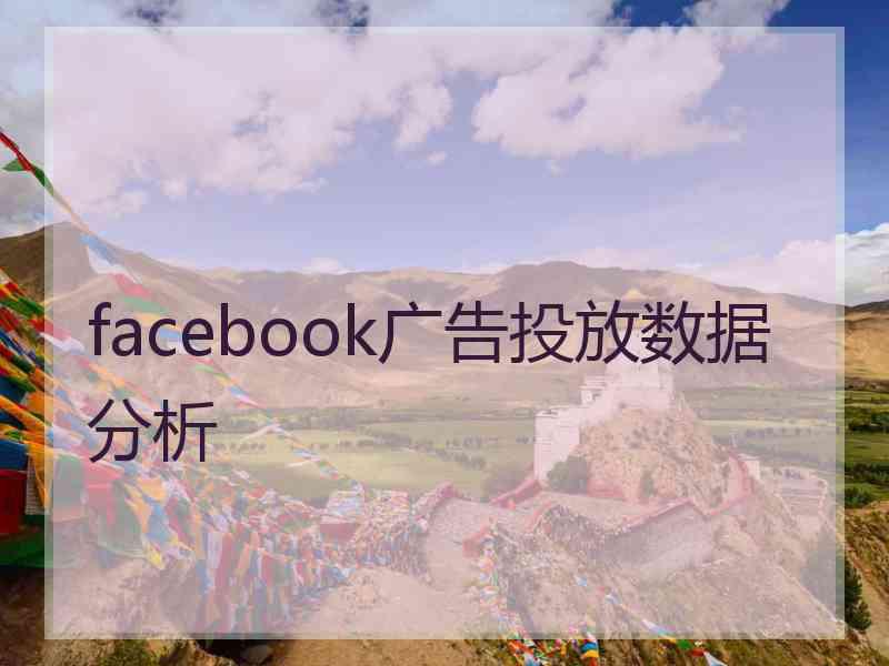 facebook广告投放数据分析