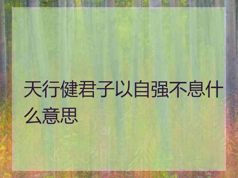 天行健君子以自强不息什么意思