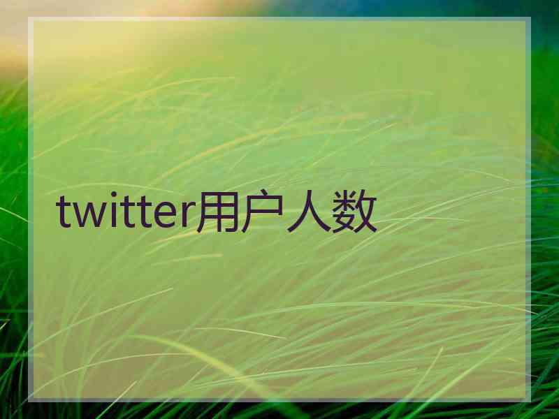 twitter用户人数