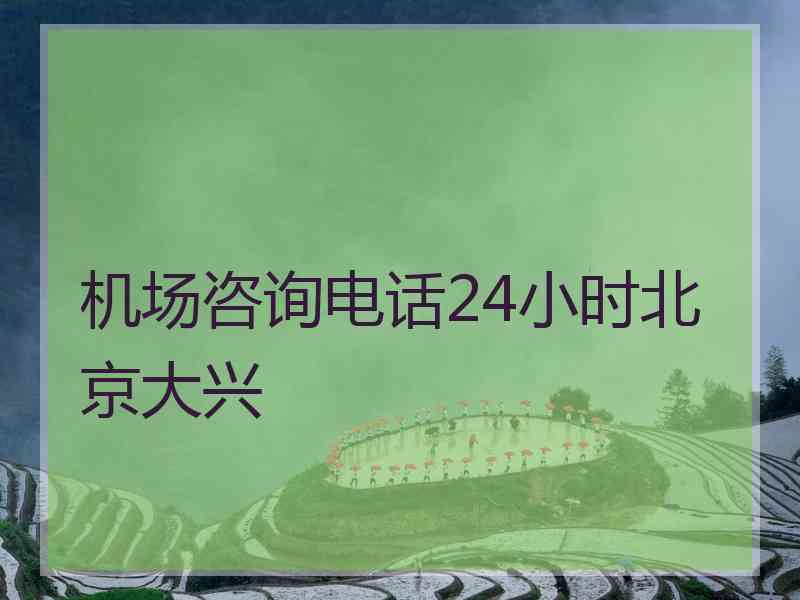 机场咨询电话24小时北京大兴