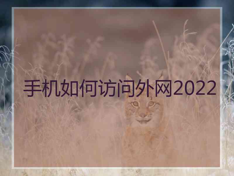 手机如何访问外网2022